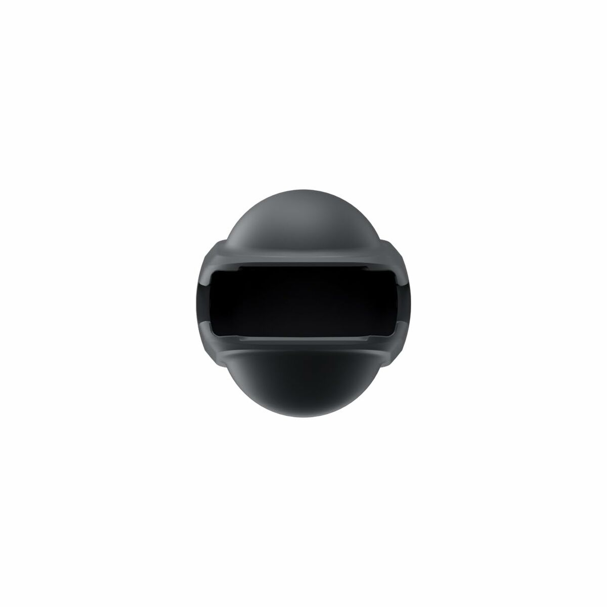Afbeeldingen van Universal Remote Control Insta360 CINSBAHL Black