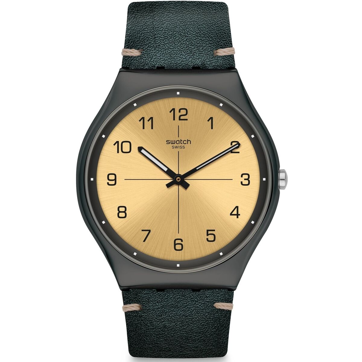 Horloge Heren Swatch TROVALIZED (Ø 34 mm)