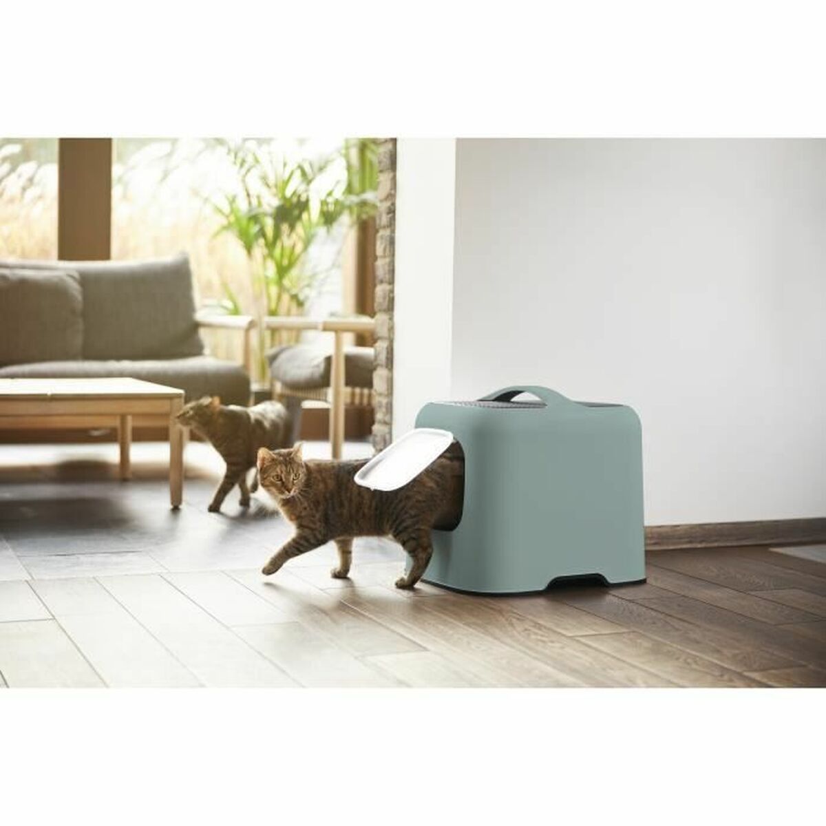 Cat Litter Box Rotho Biala Green Plastic 51 x 39,5 x 44,3 cm, view 5