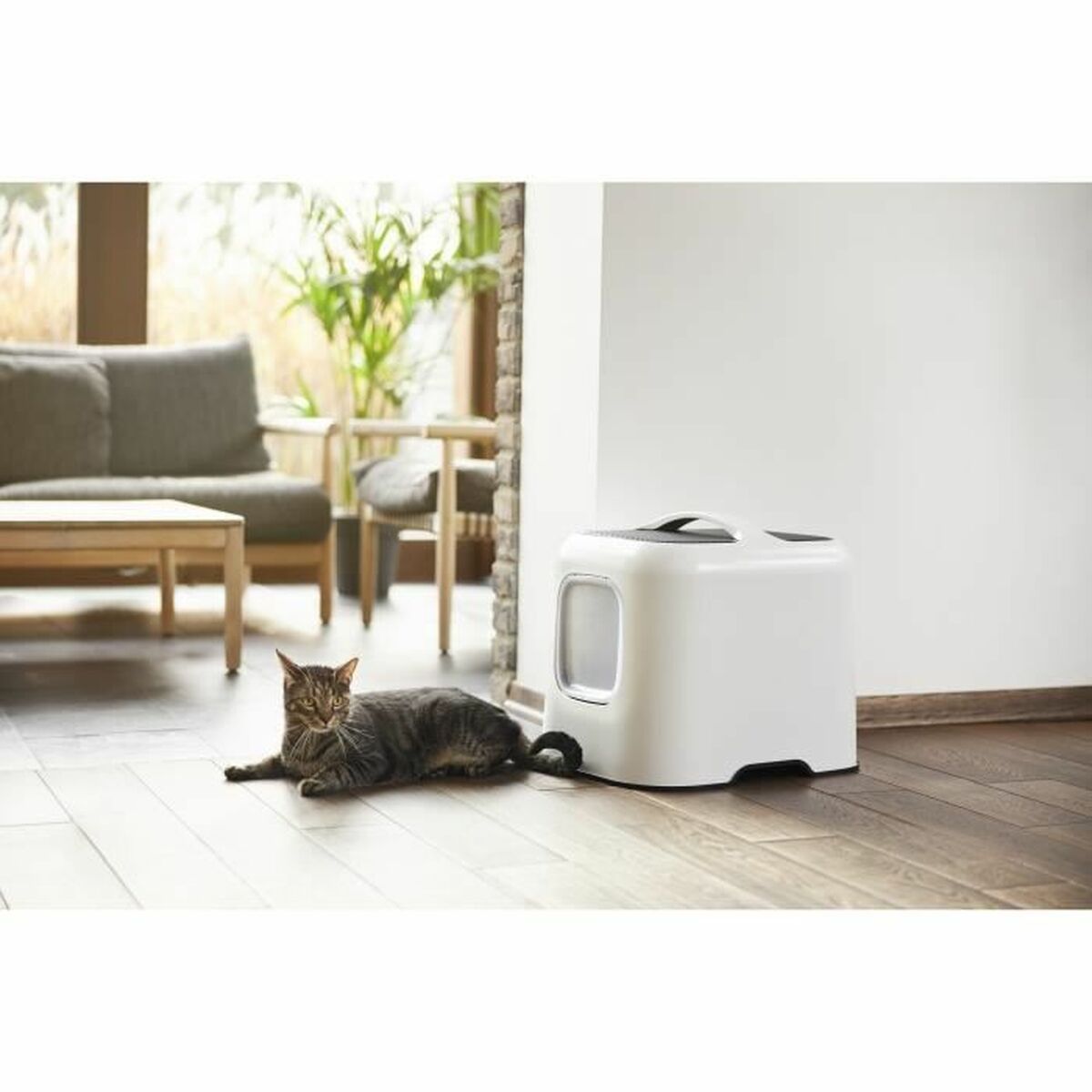 Cat Litter Box Rotho My Pet Biala White Plastic, view 4
