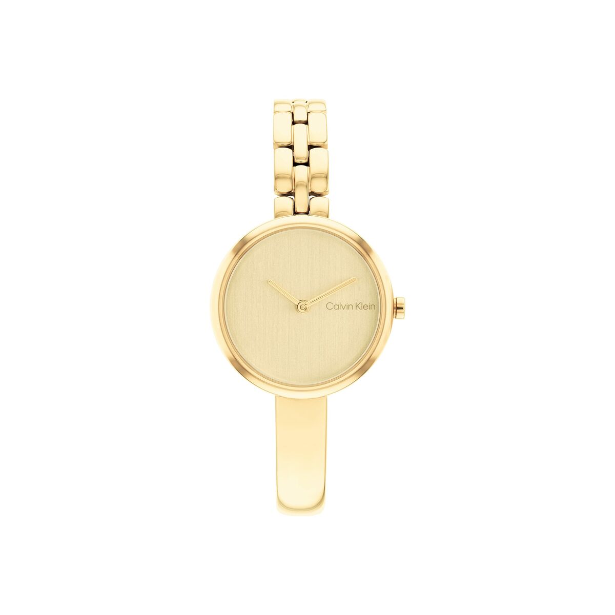 Ανδρικά Ρολόγια Calvin Klein 25200279 Χρυσό