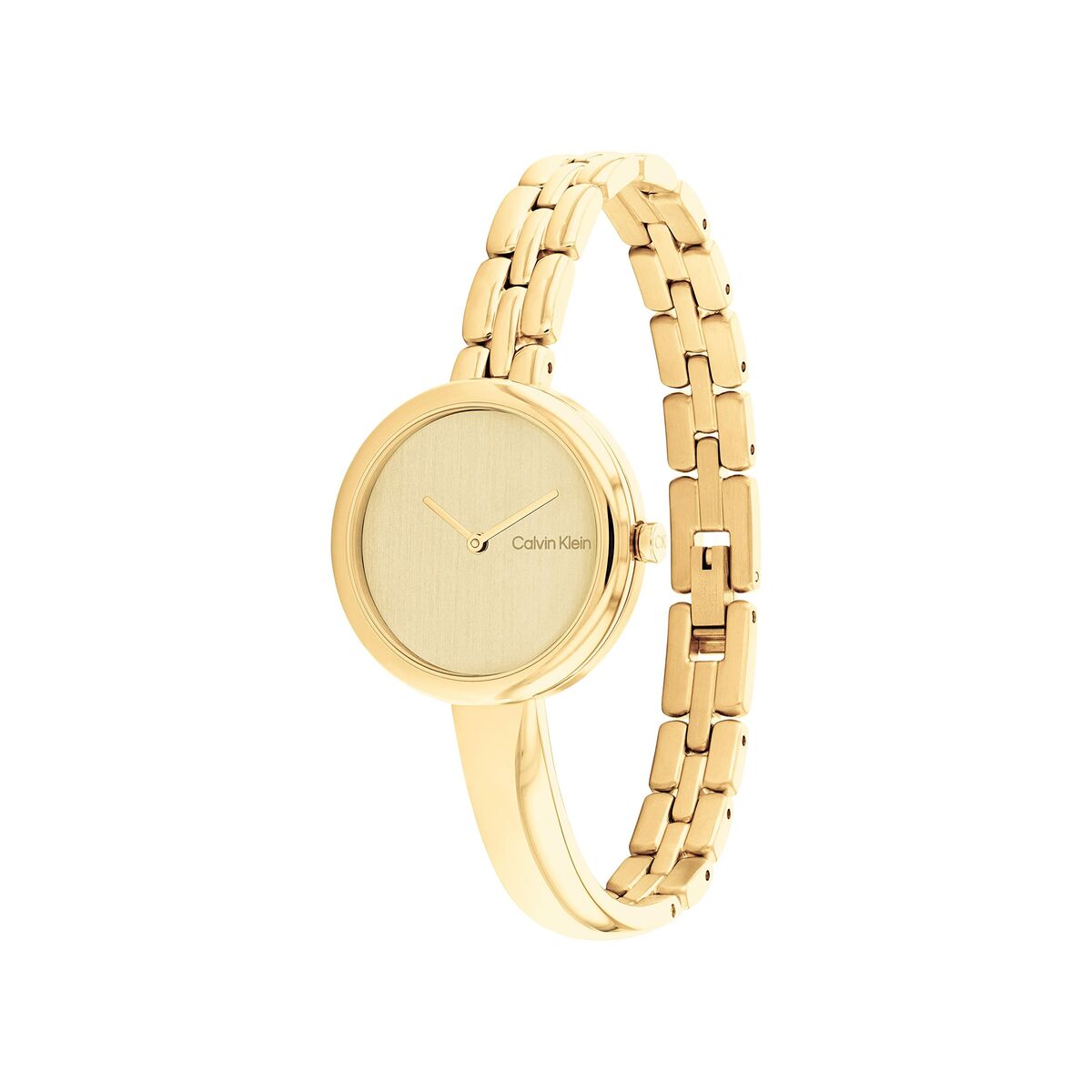 Ανδρικά Ρολόγια Calvin Klein 25200279 Χρυσό