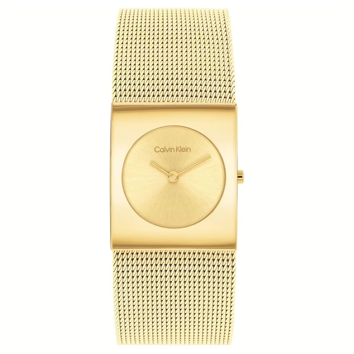 Ανδρικά Ρολόγια Calvin Klein 1693551