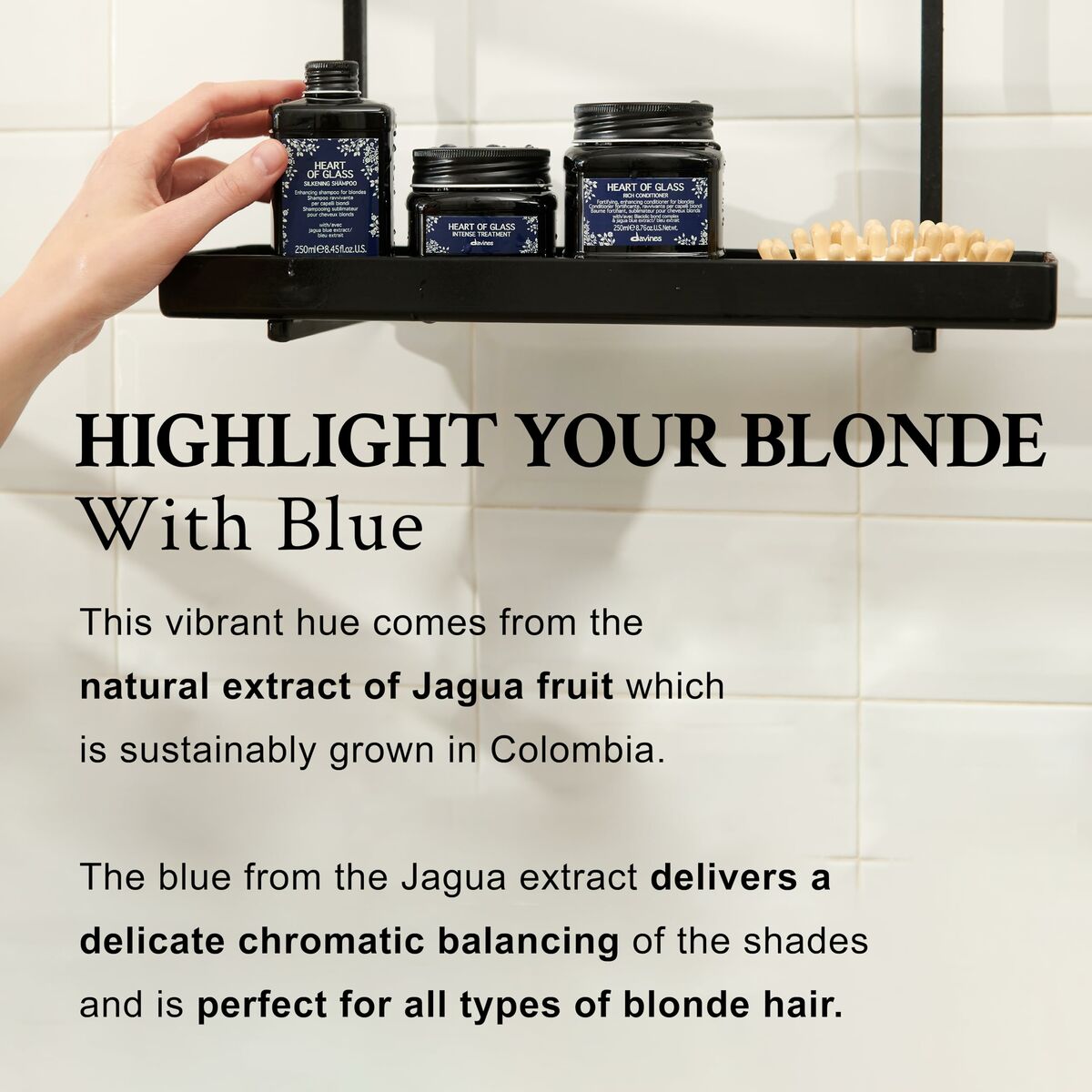 Conditioner Davines