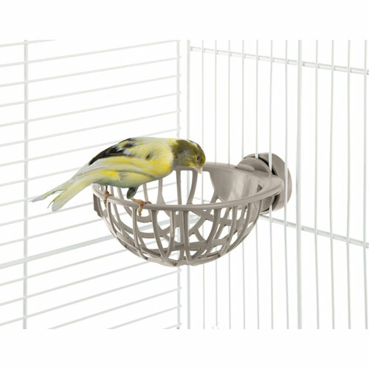 Nest IMAC, view 2