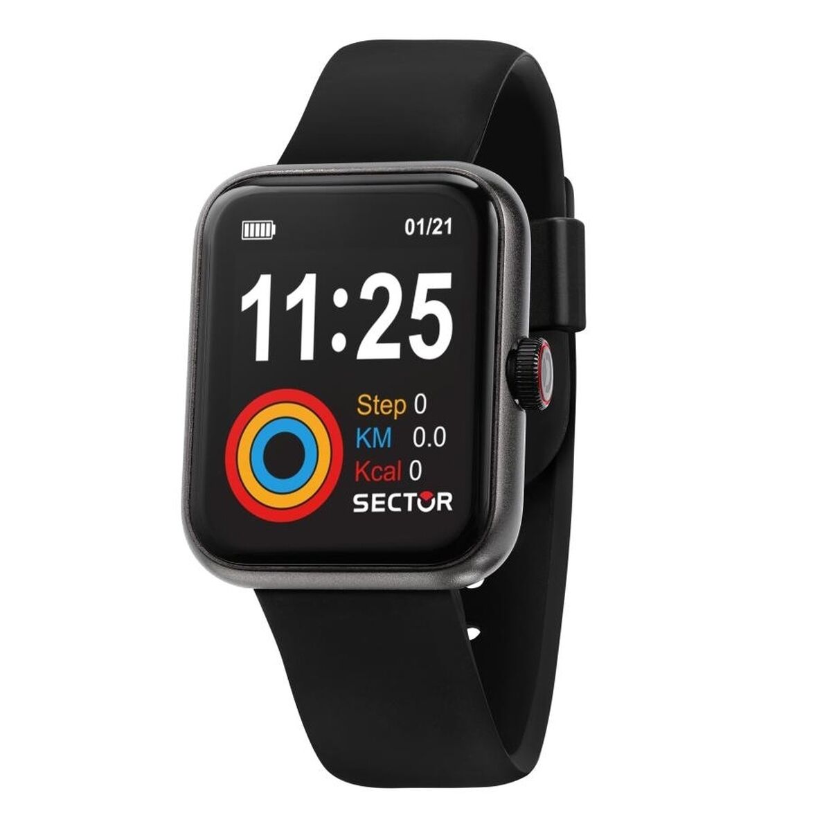 Montre Unisexe Sector R3251282005 Noir
