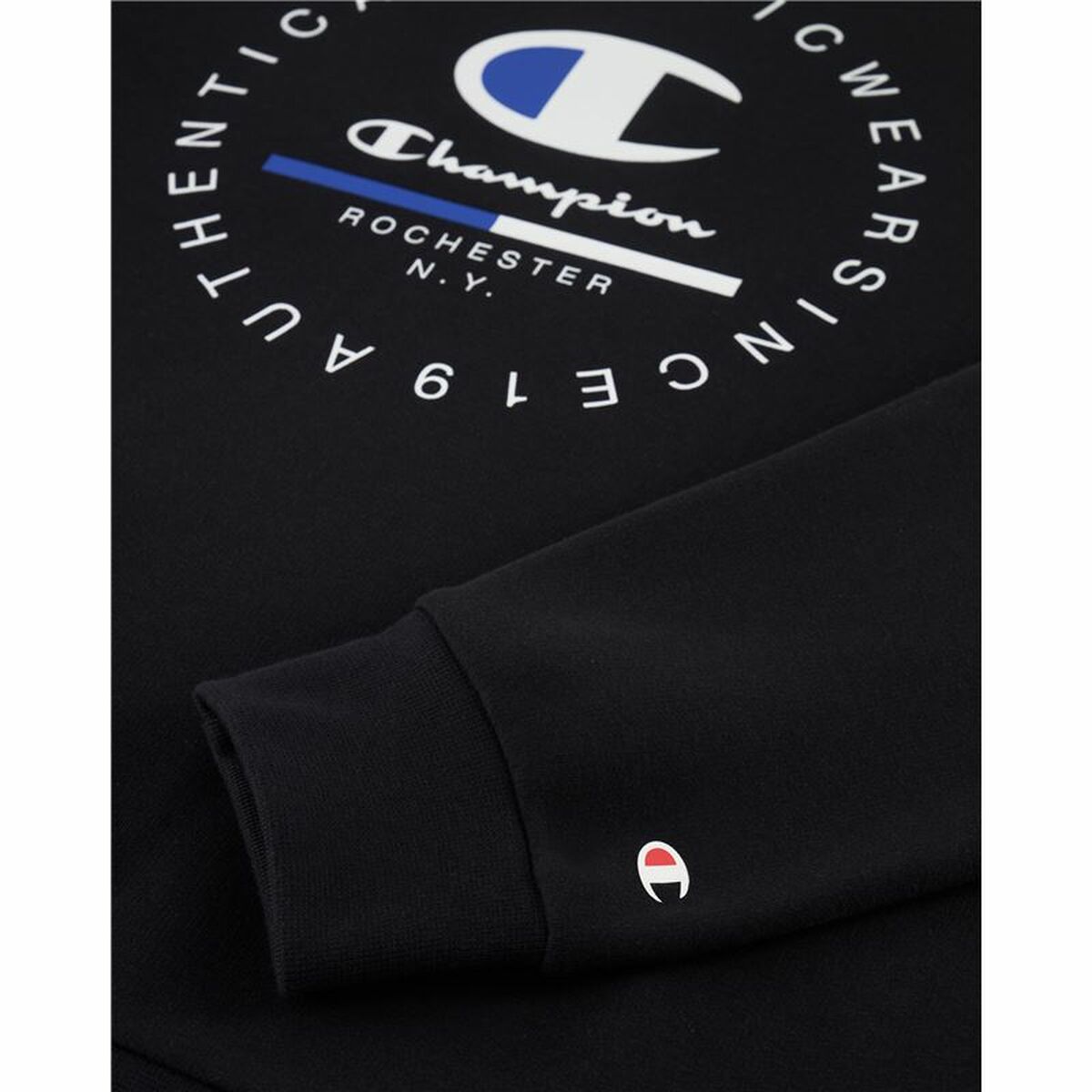 Mens Sweatshirt without Hood Champion