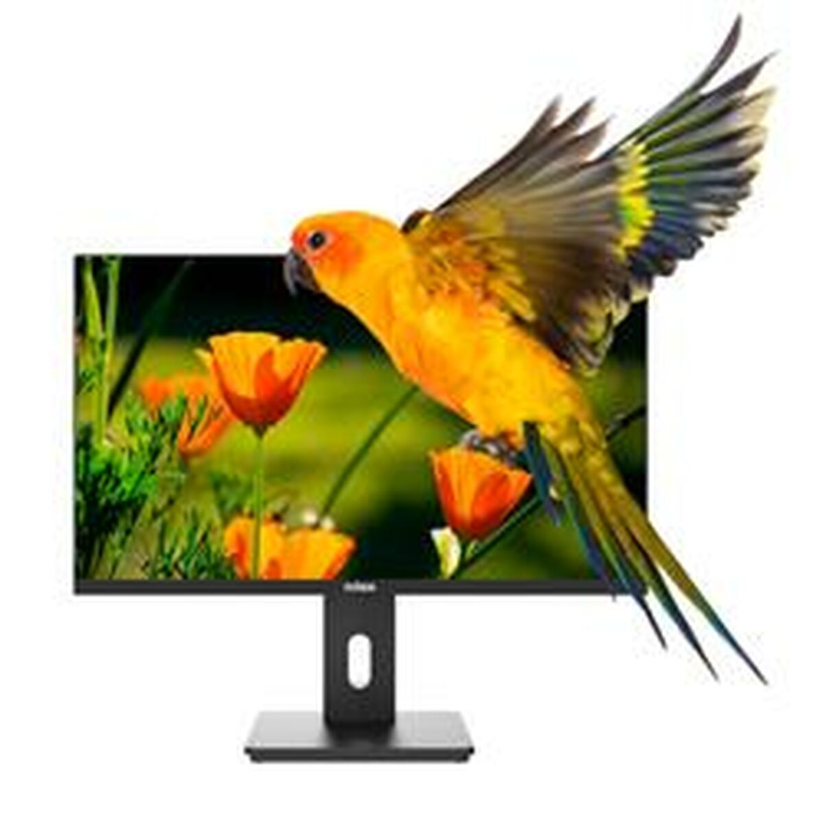Picture of Monitor Nilox NXM24REG02 Full HD 75 Hz