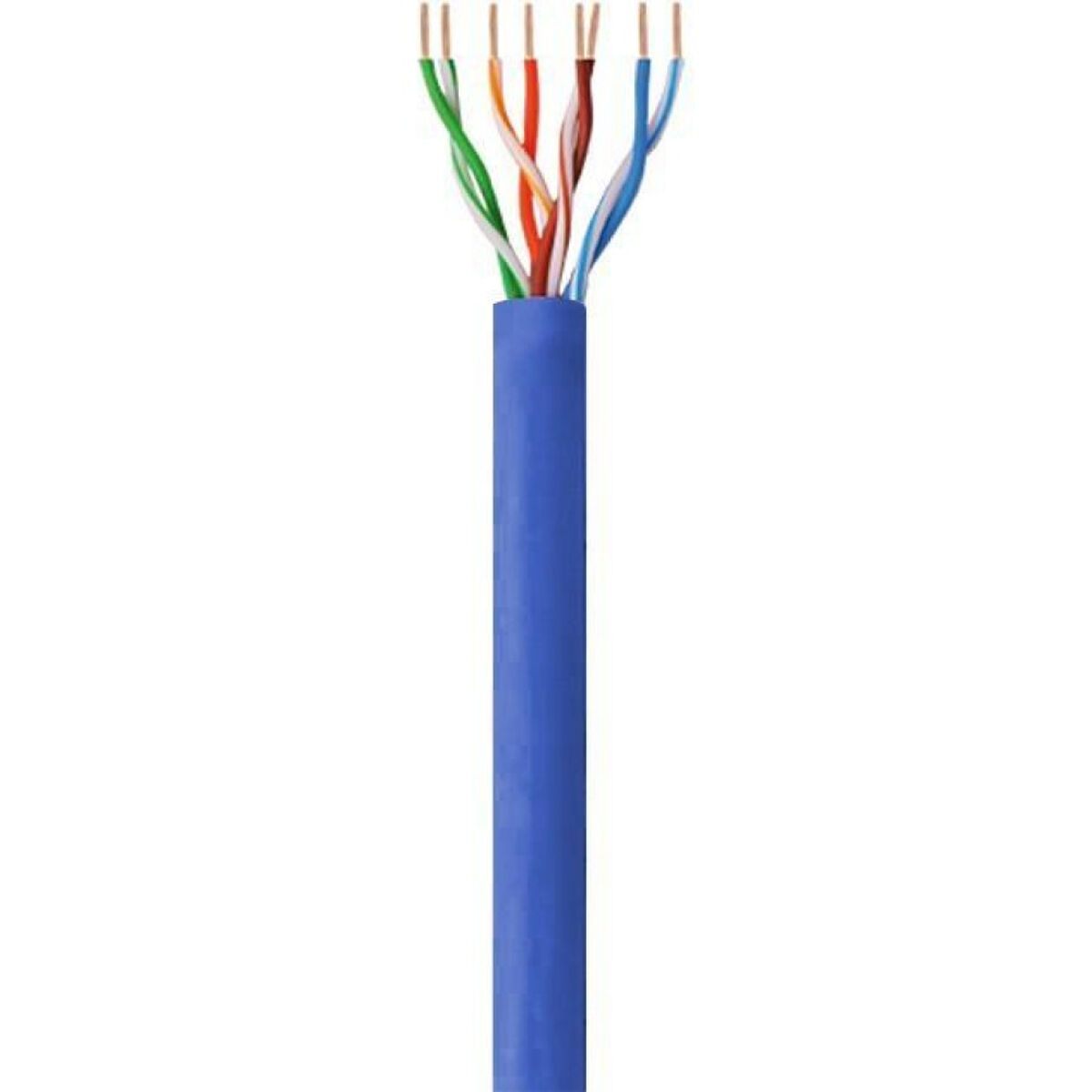 Afbeeldingen van UTP Category 6 Rigid Network Cable Techly ITP6-CCA-305-BL Blue 305 m