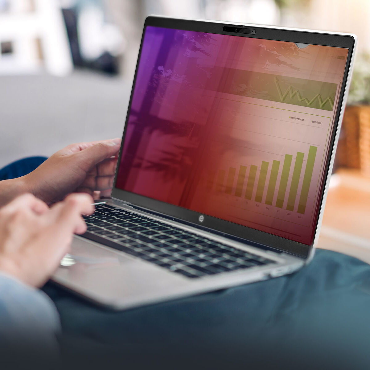 Picture of Wall-mounted Rack Cabinet Startech 156G-PRIVACY-SCREEN