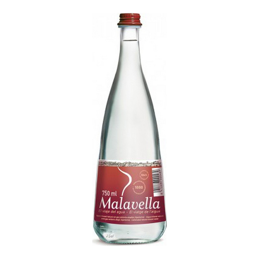 Sparkling Mineral Water Malavella (33 cl)