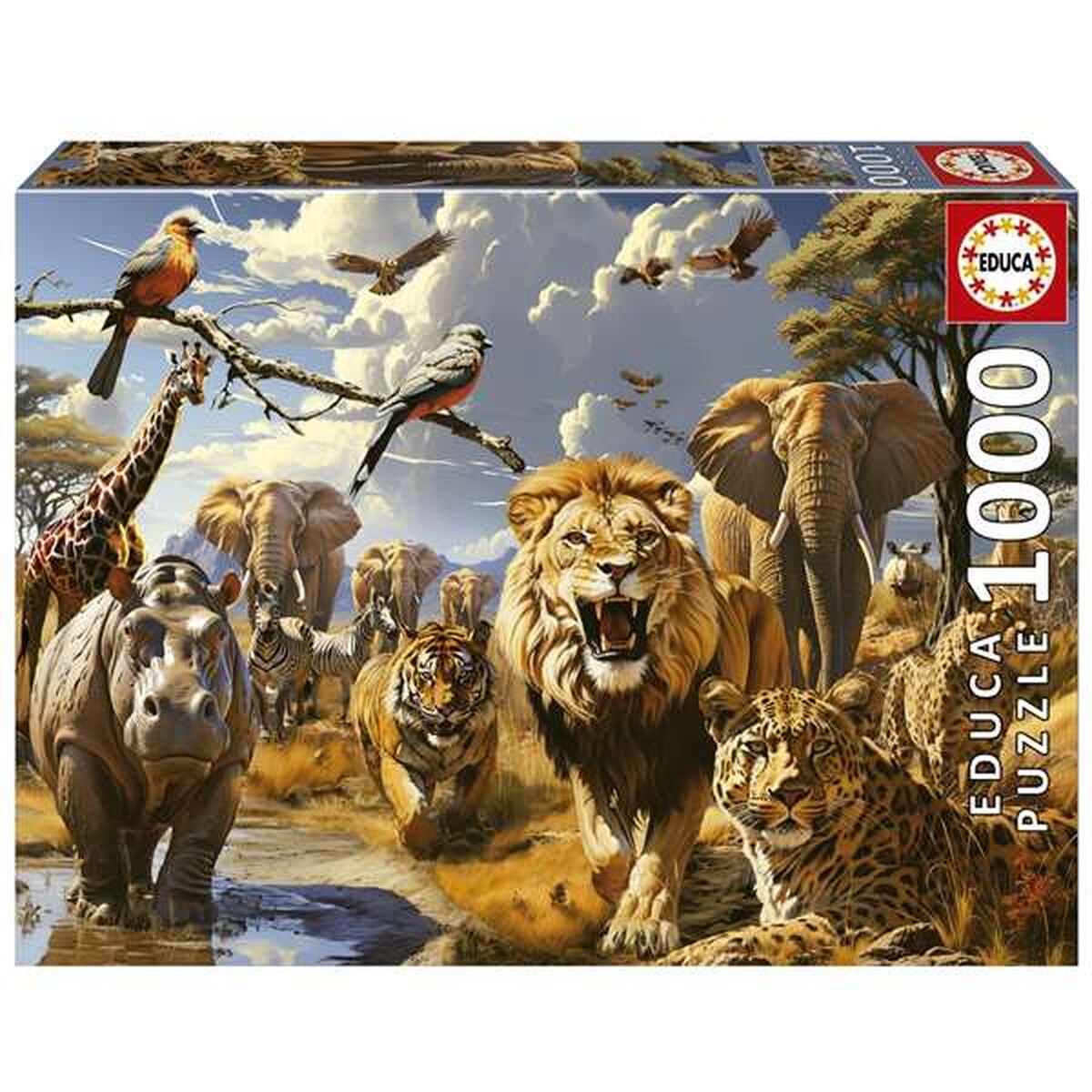 Puzzel Educa 1000 Onderdelen