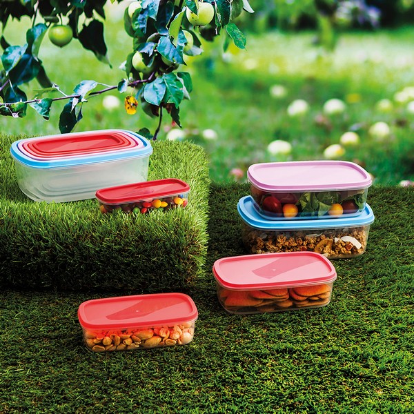 Set of 5 lunch boxes Quid Habitat Plastic