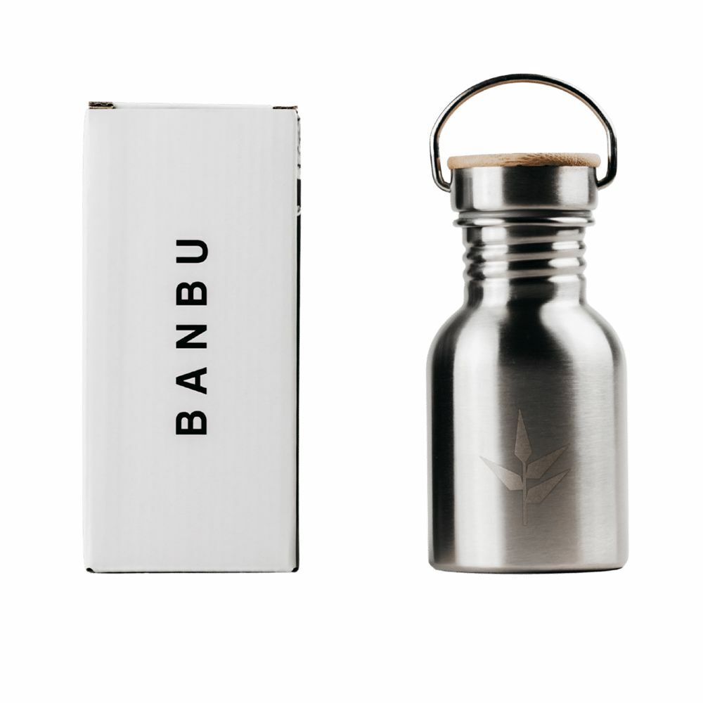 Bottle Banbu TRE240 Stainless steel Small (350 ml)