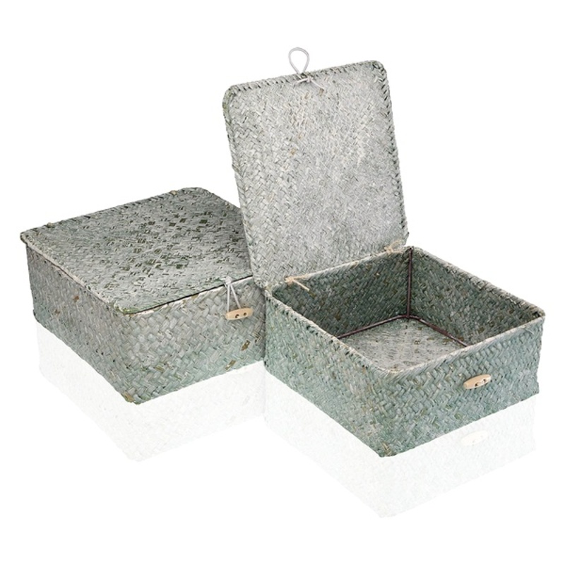 Basket set Versa Marine algae (2 Pieces) (23 x 10 x 23 cm)