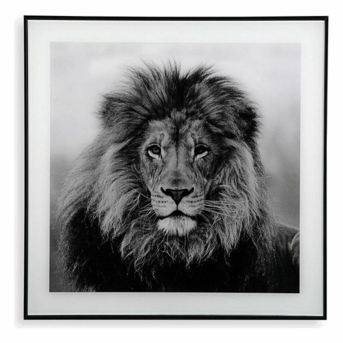 Cadre Versa Lion Verre 2 x 50 x 50 cm