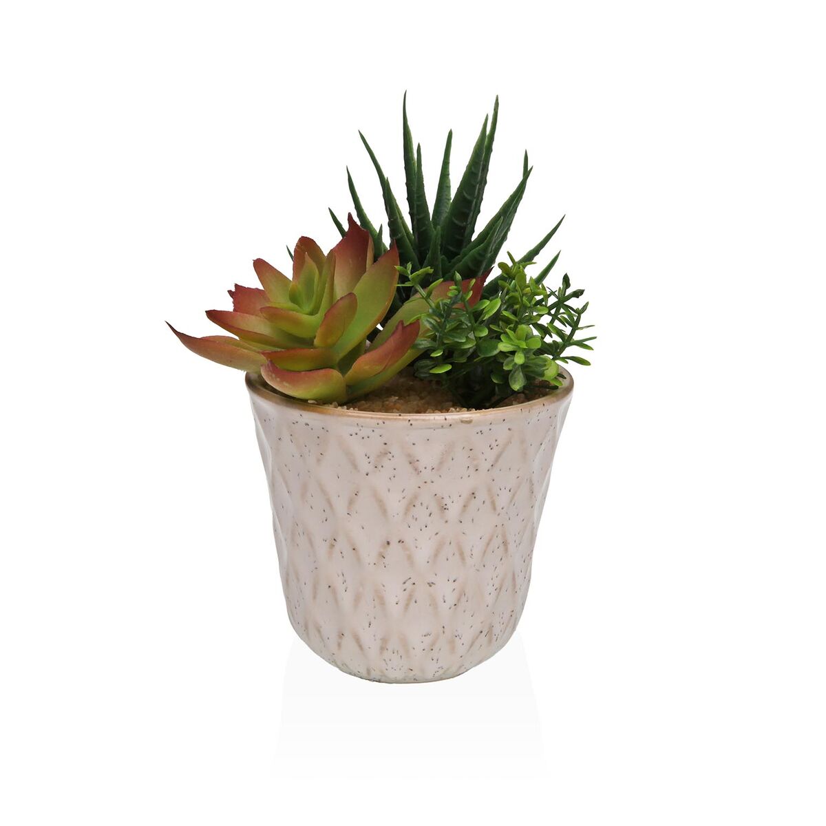 Plante décorative Versa Céramique Plastique Fusion Succulent 7,8 X 14 X 7,8 CM