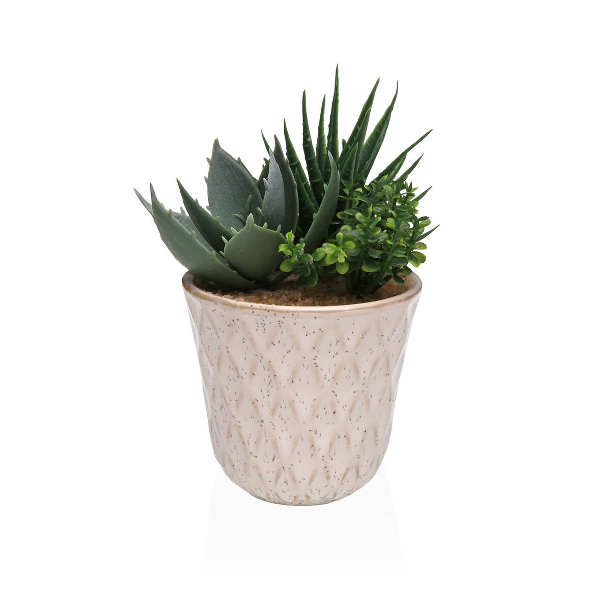 Plante décorative Versa Céramique Plastique Fusion Succulent 7,8 X 14 X 7,8 CM