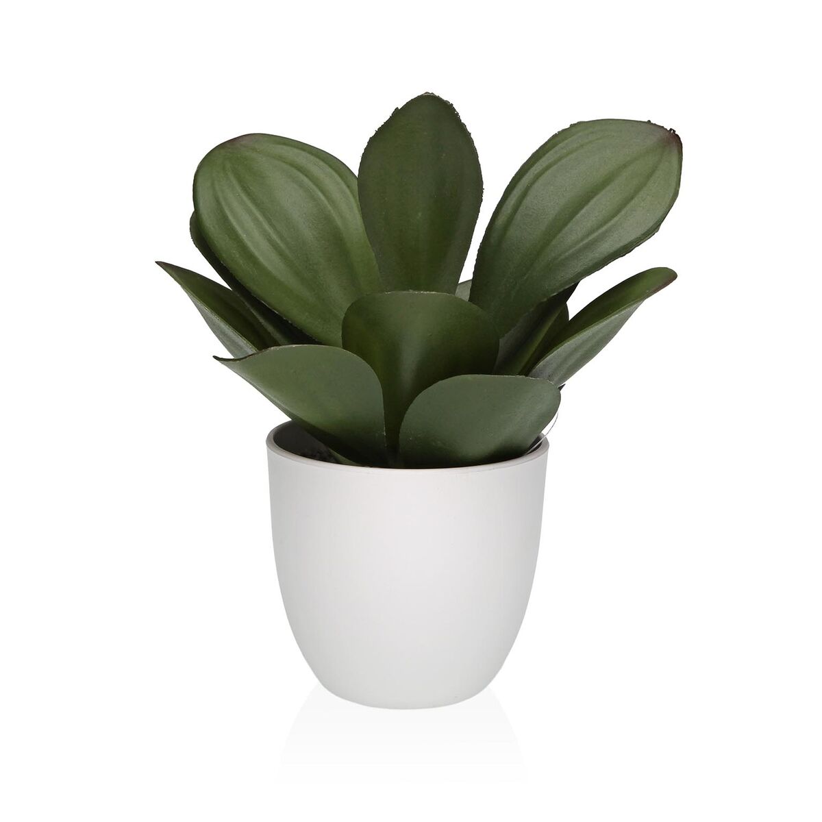 Plante décorative Versa Fer Textile Plastique 25 x 23 cm