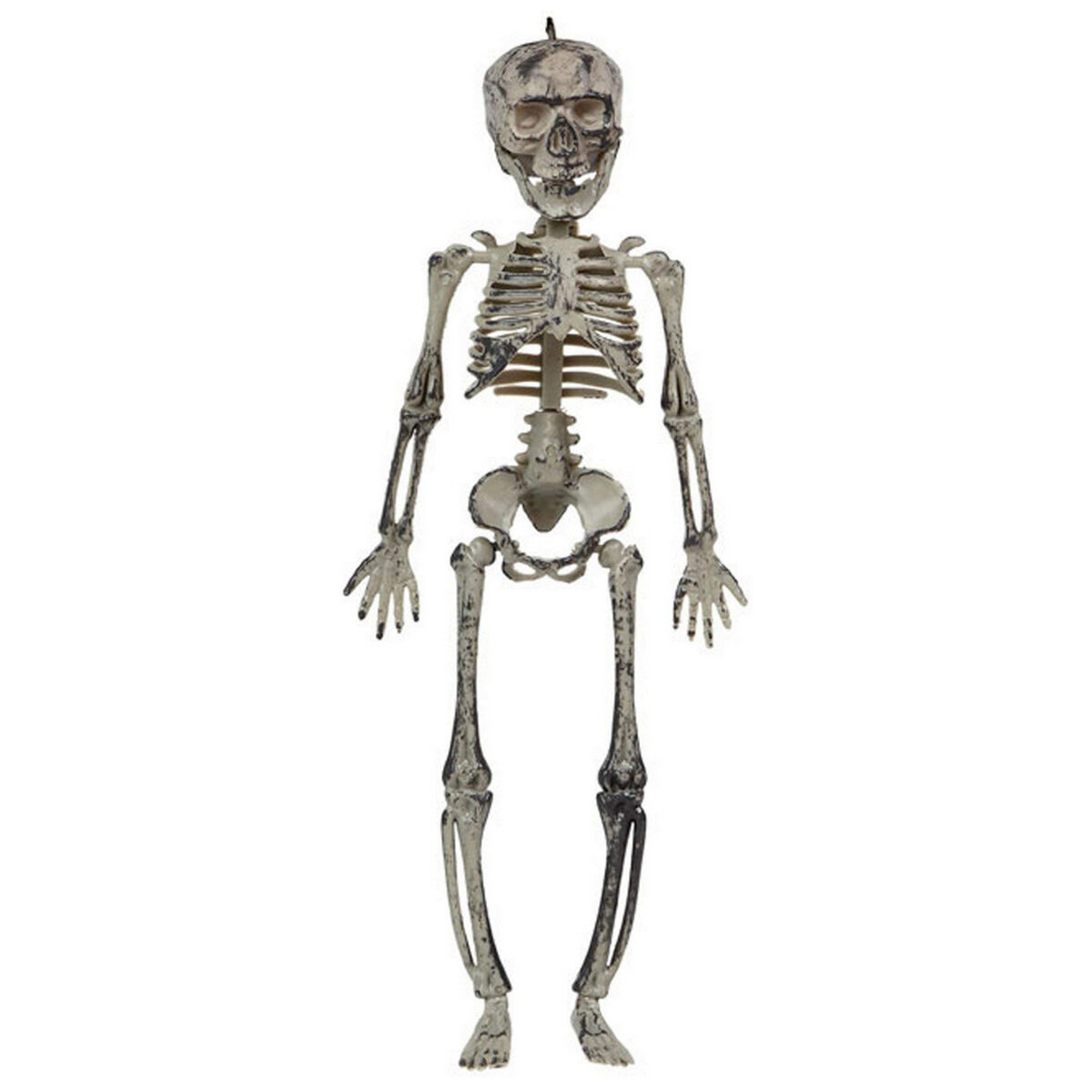 Décoration d'Halloween Pendentif 30 cm Squelette