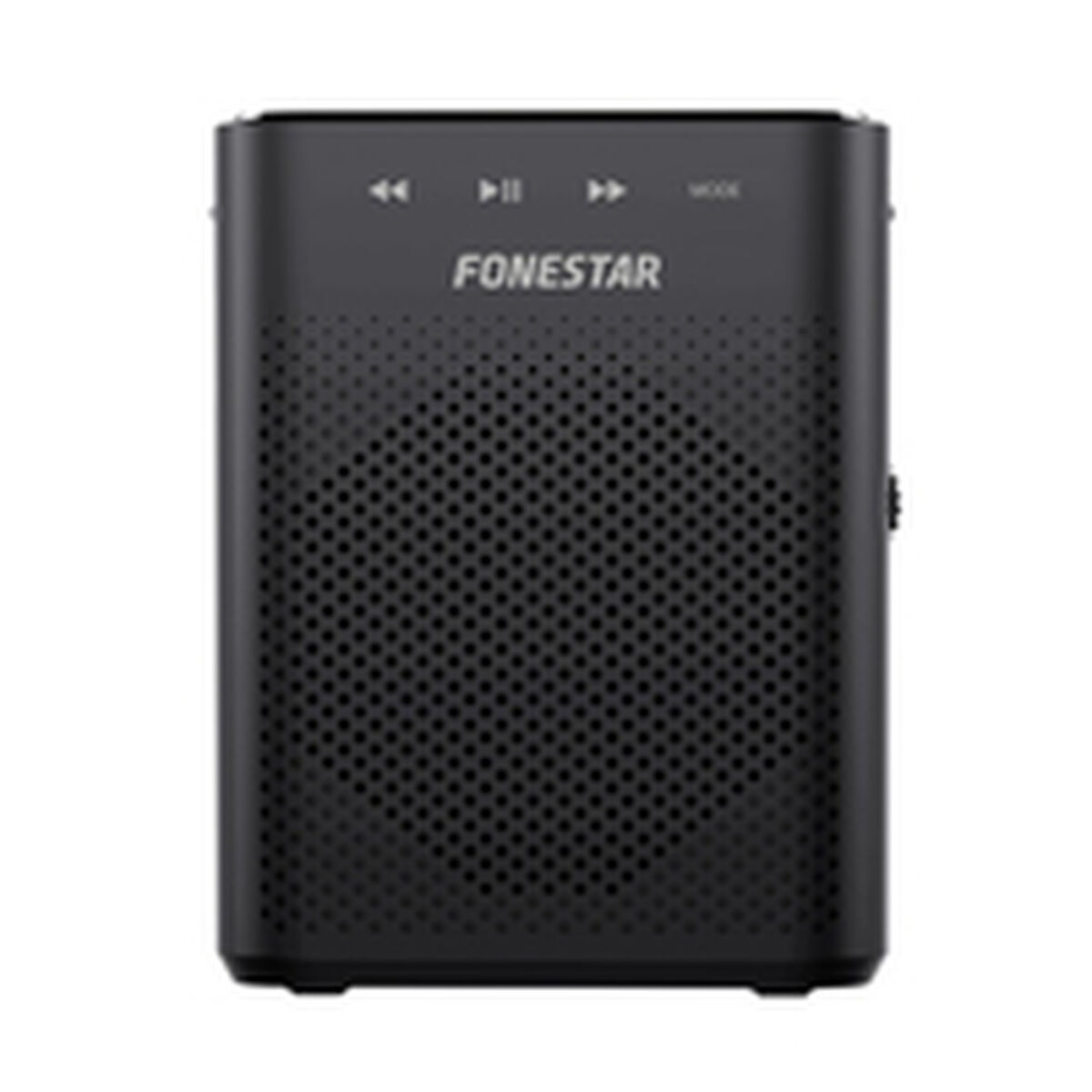 Bild von Amplifier FONESTAR ALTA-VOZ-W30 Black 50 W