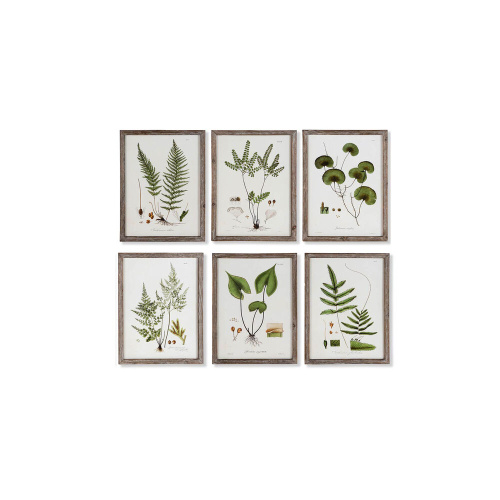 Maleri DKD Home Decor Botaniske planter (30 x 1.8 x 40 cm) (6 pcs)