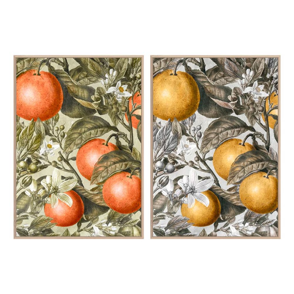 Painting DKD Home Decor Fruit (2 pcs) (53 x 4.5 x 73 cm)