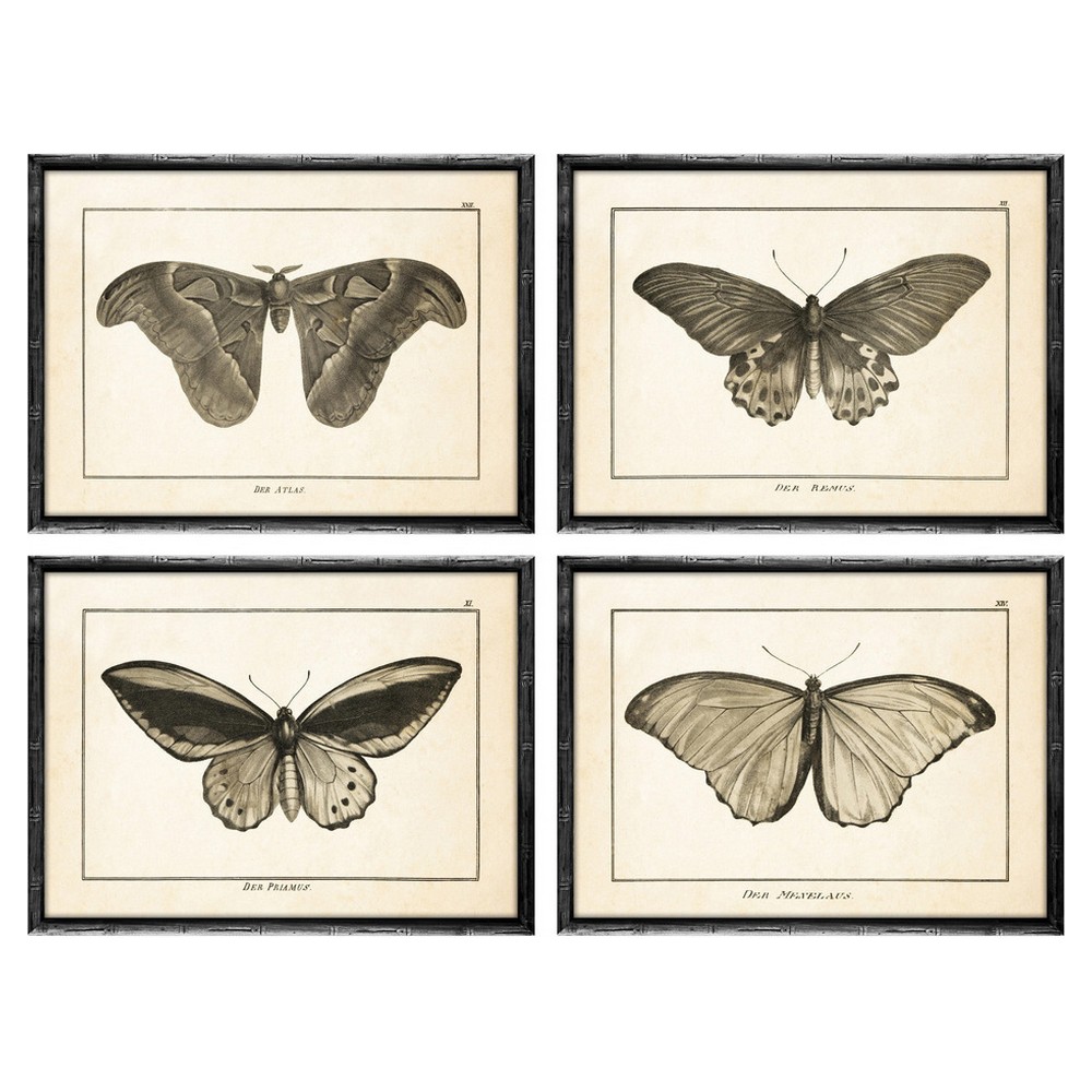 Cadre DKD Home Decor Papillon (60 x 2.5 x 45 cm) (4 pcs)
