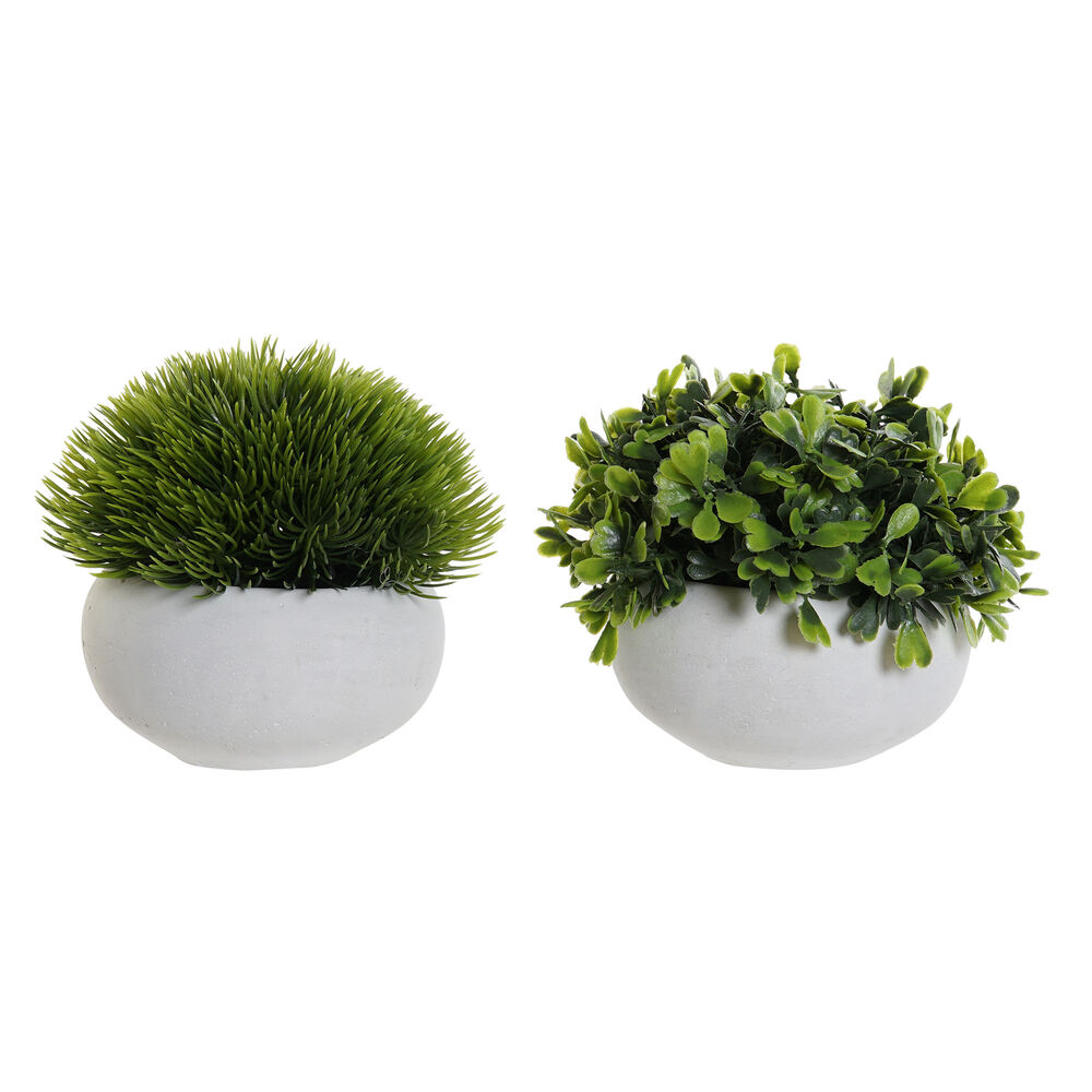 Decorative Plant DKD Home Decor Cement Polyethylene White Green (2 pcs) (13 x 13 x 12 cm)