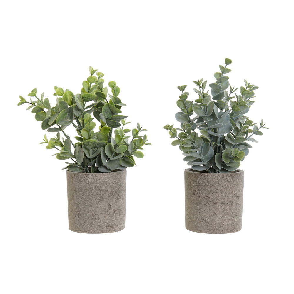 Decorative Plant DKD Home Decor Green Resin Polyethylene (17 x 17 x 24 cm) (2 pcs)