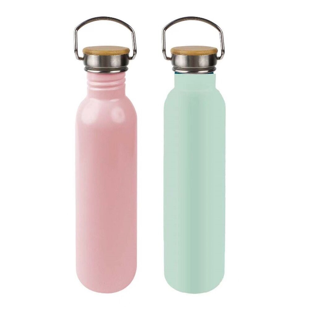 Stainless Steel Flask DKD Home Decor Pink Sky blue (7 cm) (25 cm) (800 ml)