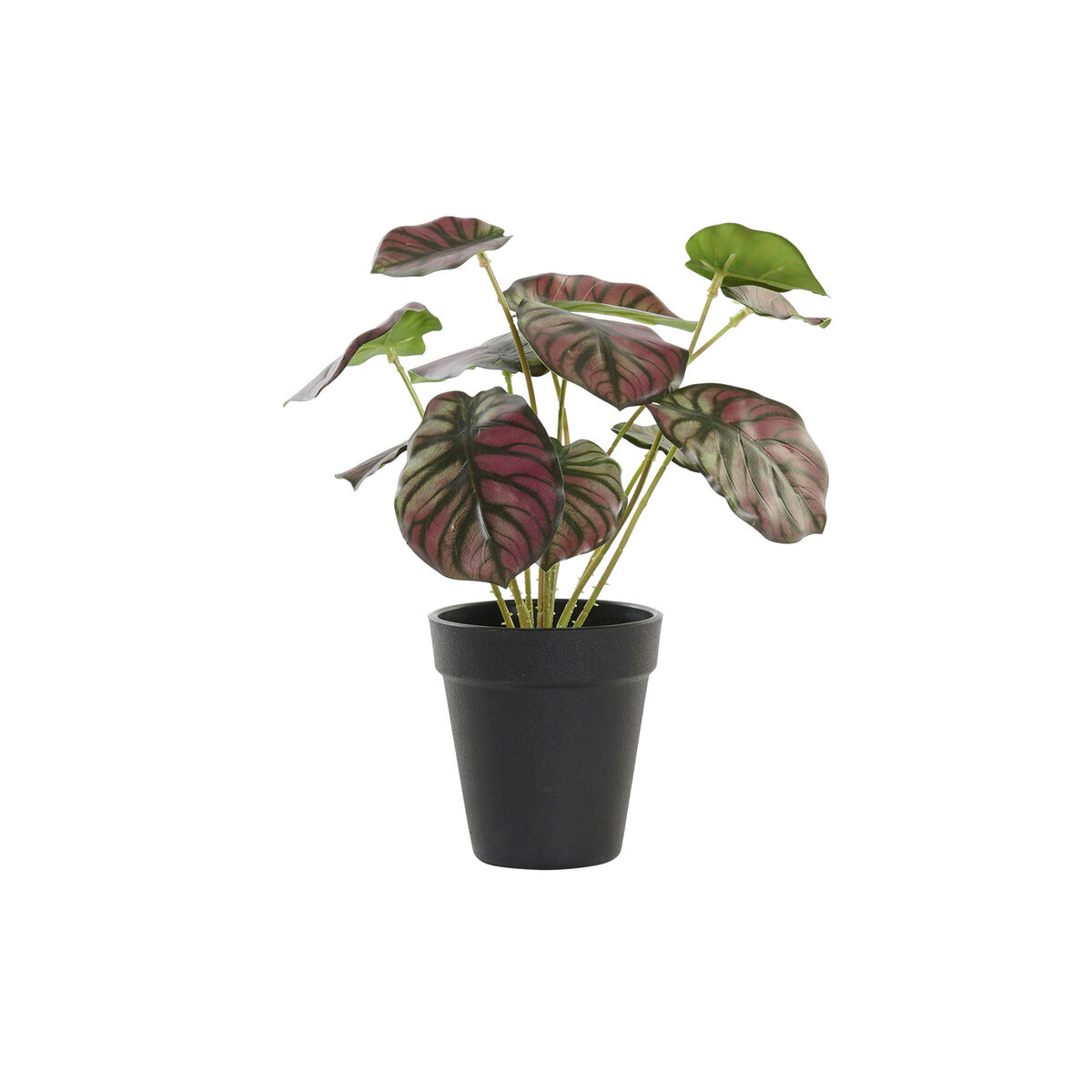 Plante décorative DKD Home Decor Rose Vert PE (10 x 10 x 27 cm)