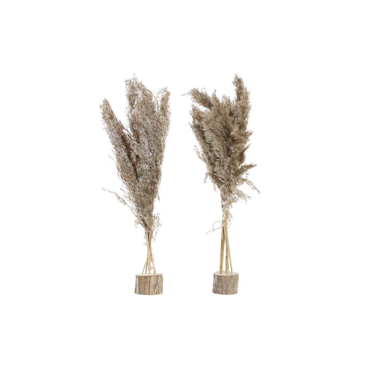 Plante décorative DKD Home Decor Plumes PVC Fibre (35 x 25 x 55 cm) (2 Unités)
