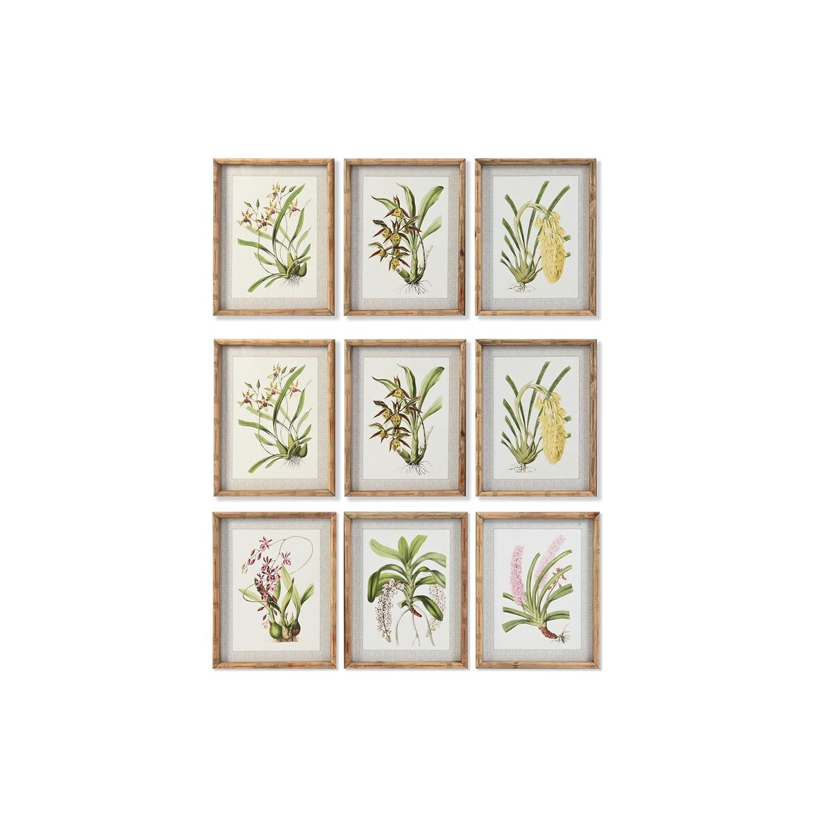 Painting DKD Home Decor Tropical Flowers, plants and trees (35 x 2,8 x 45 cm) (9Units)