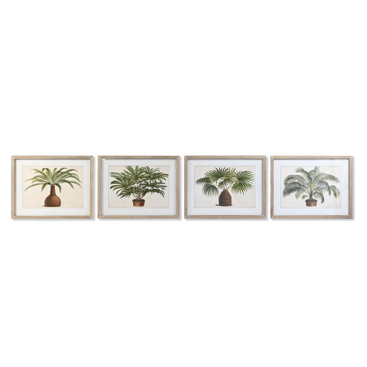 Cadre DKD Home Decor 65 x 2 x 50 cm Palmiers Tropical (4 Pièces)