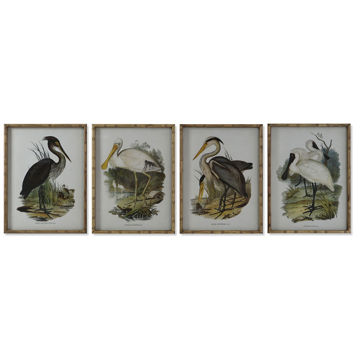 Cadre DKD Home Decor Oiseaux Oriental 45 x 3 x 60 cm (4 Unités)