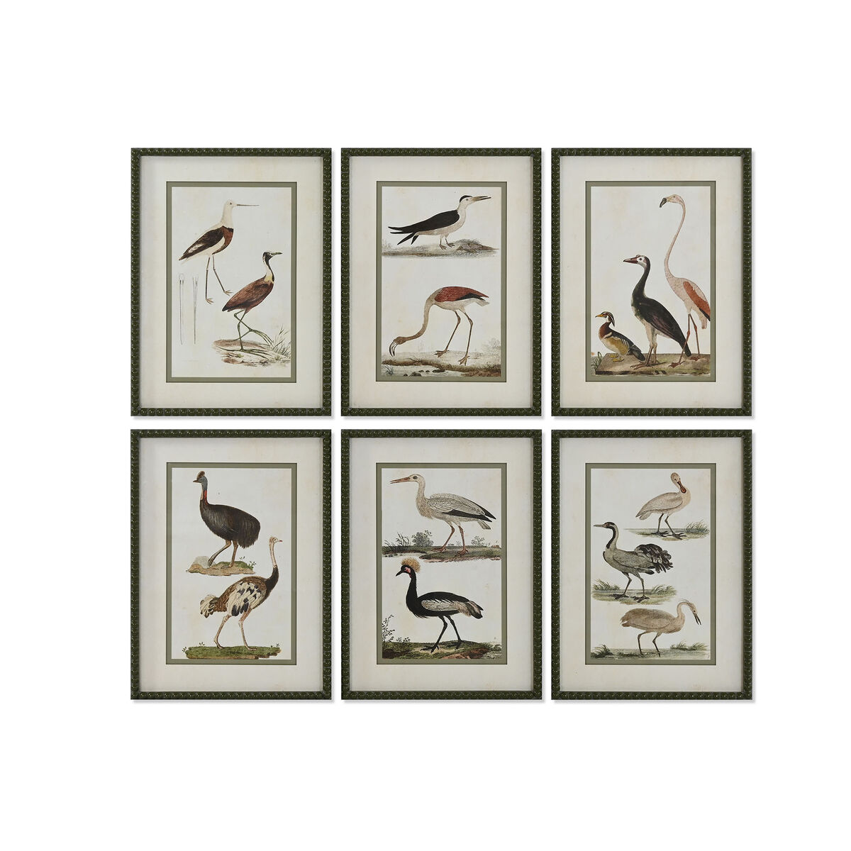 Cadre Home ESPRIT Oiseaux Cottage 40 x 2,5 x 54 cm (6 Unités)