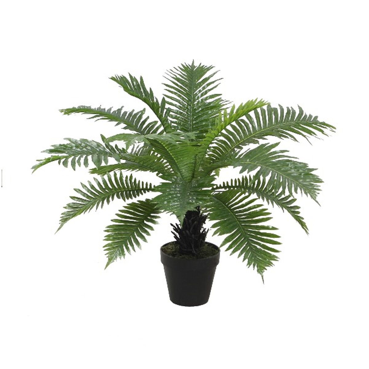 Plante décorative Home ESPRIT PVC Fougère 80 x 80 x 60 cm