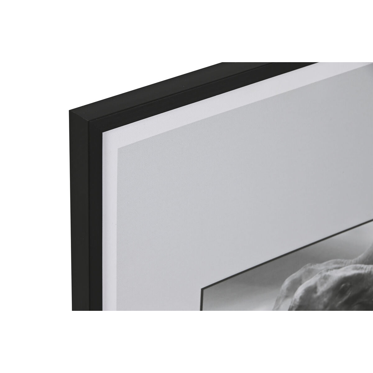 Image secondaire de Cadre Home ESPRIT Blanc Noir Animal Vintage 45 x 2,2 x 60 cm (4 Unités)