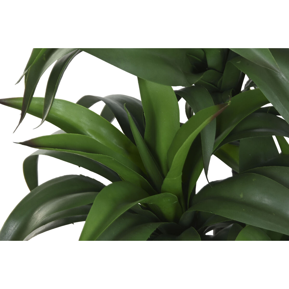 Image secondaire de Plante décorative Home ESPRIT Résine Polyéthylène 50 x 50 x 102 cm