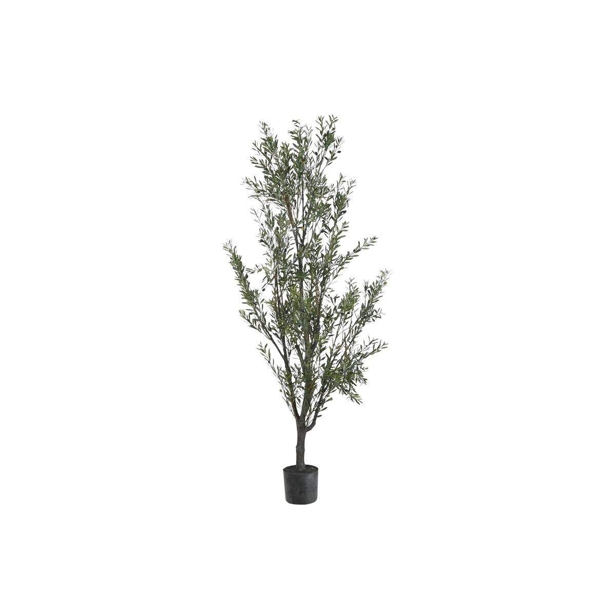 Arbre Home ESPRIT Polyéthylène Olivier
