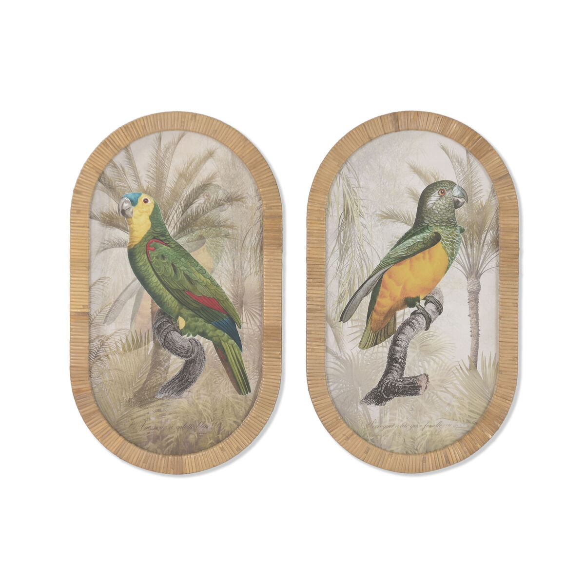 Schilderij Home ESPRIT Kristal Rotan 35 X 2,5 X 60 CM (2 Stuks)