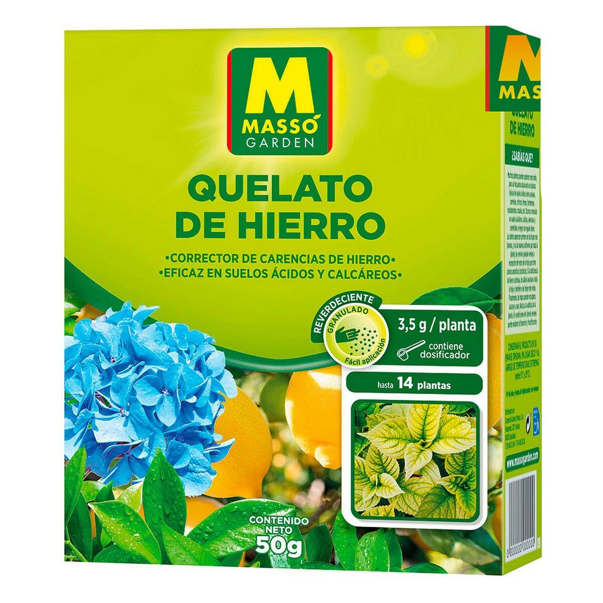Engrais pour les plantes Massó Quelato de Hierro (50 g)