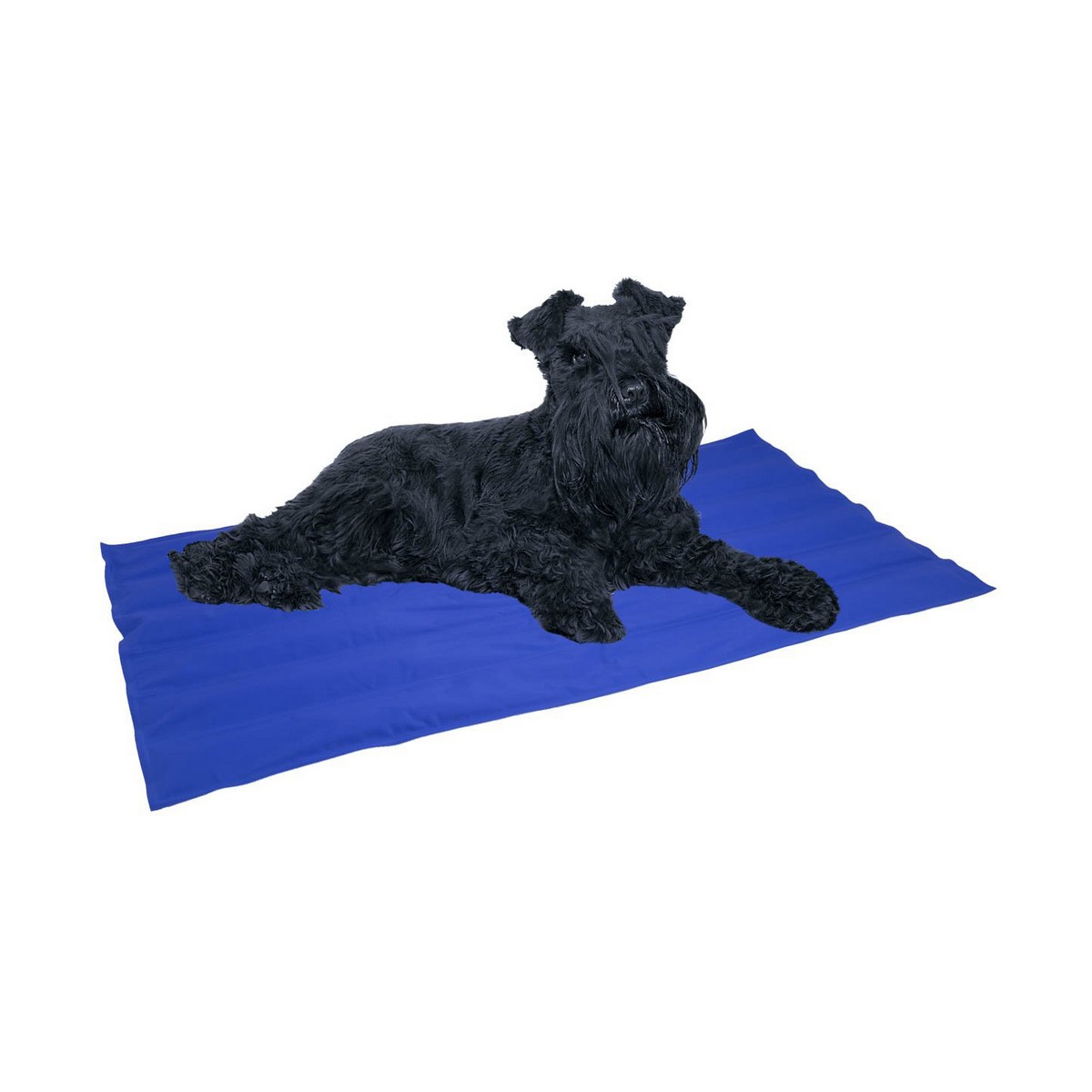 Tapis pour chien Nayeco Cool mat Bleu Gel réfrigérant (50 x 40 cm)