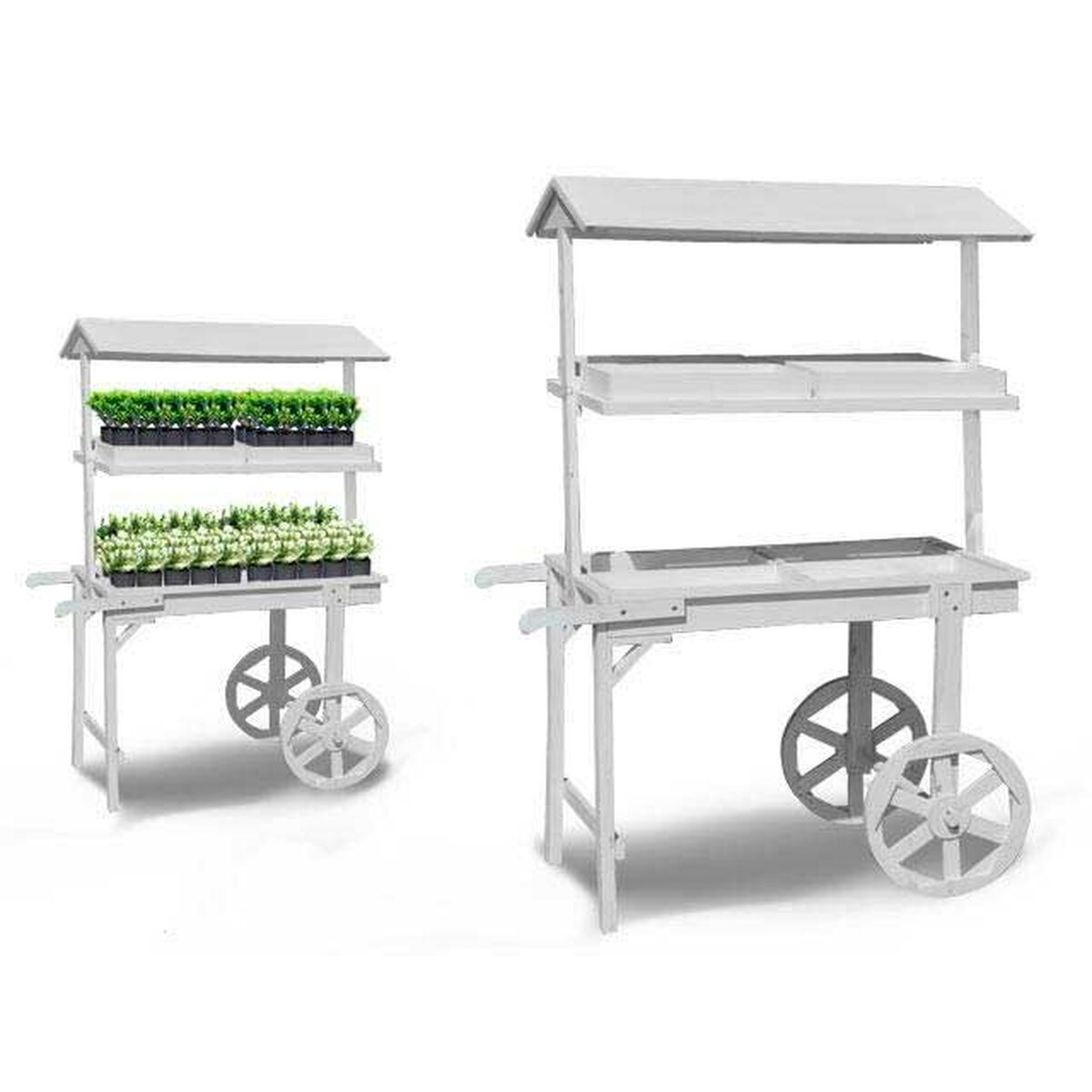 Display Stands