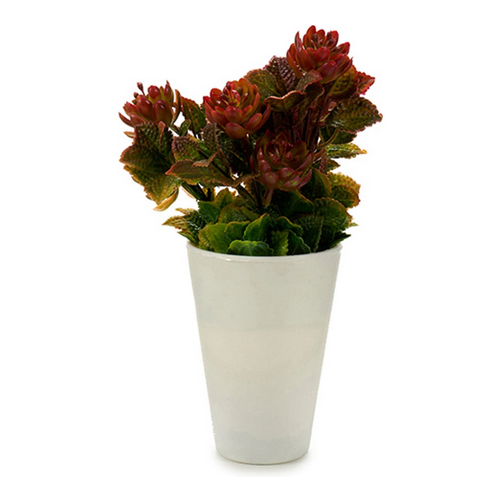 Decorative Plant White Plastic (10 x 22 x 10 cm)