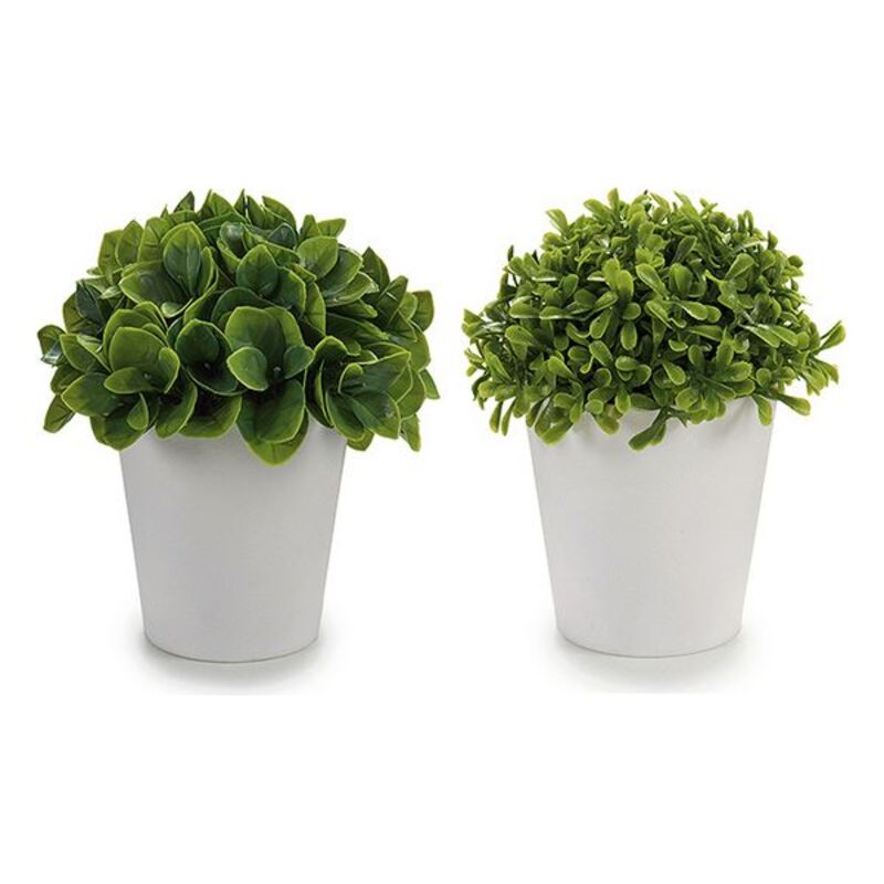 Planta Decorativa ‎S3605248 Blanco Verde Plástico (13 x 17 x 13 cm) (13 x 15 x 13	 cm)