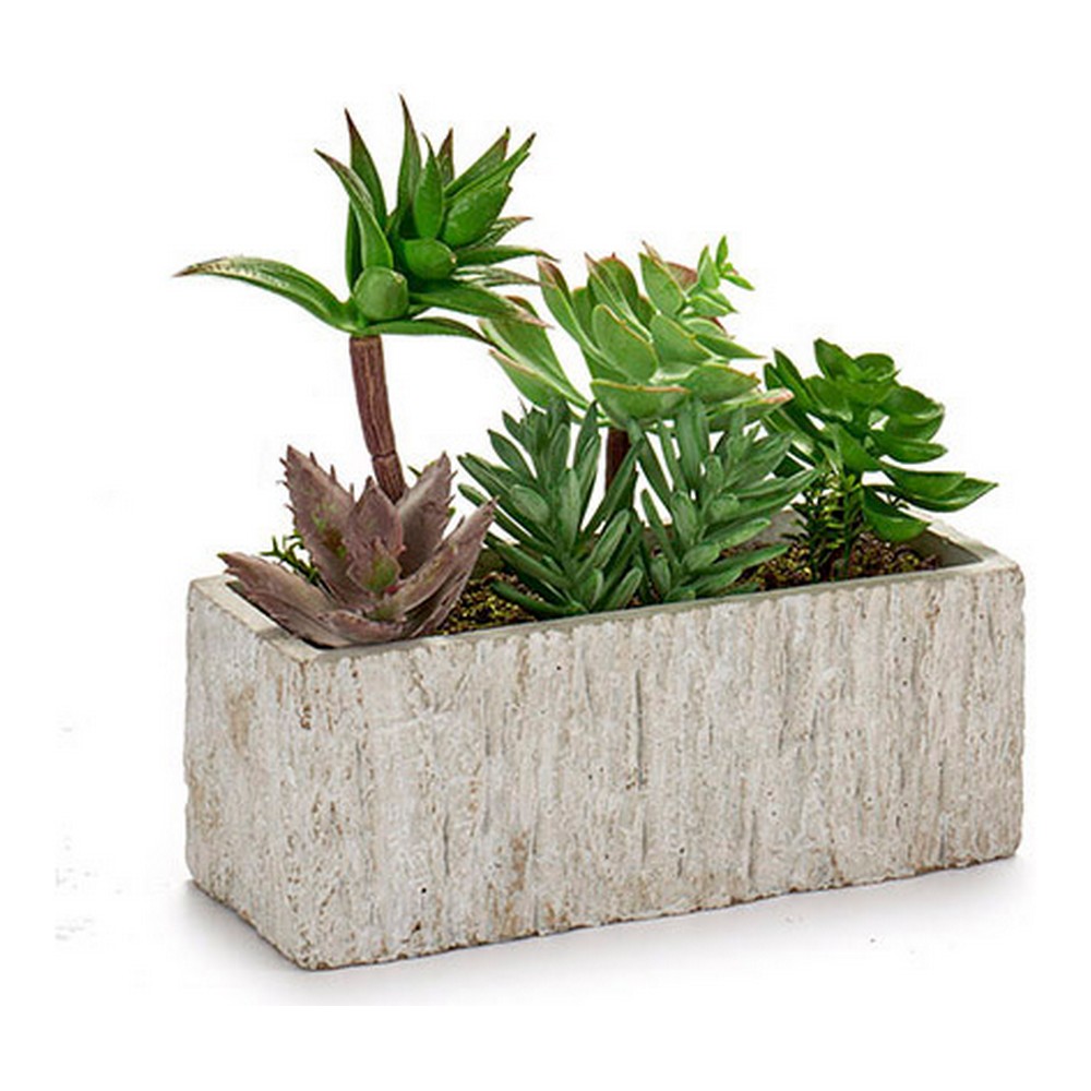 Planta Decorativa Gris Verde Cerámica Plástico (9 x 20 x 21,5 cm)