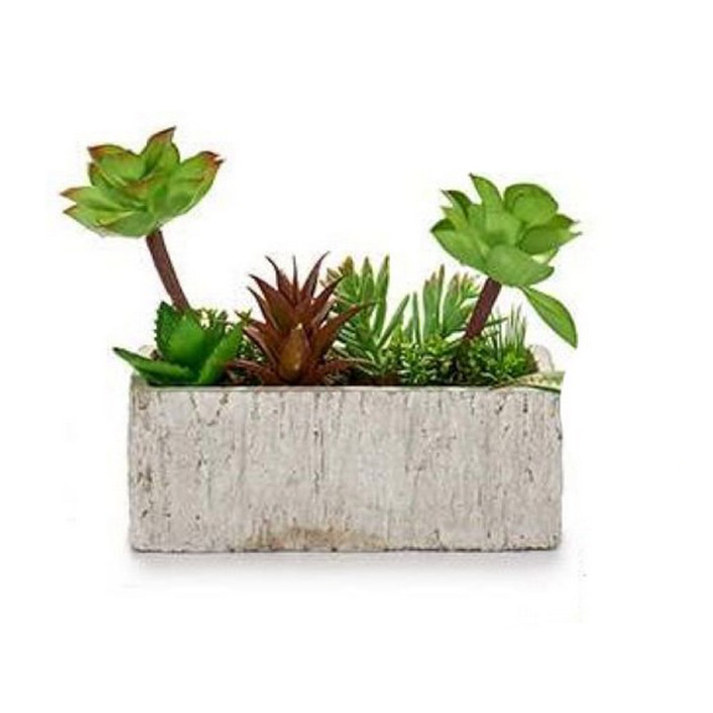 Planta Decorativa Gris Verde Cerámica Plástico (9 x 20 x 21,5 cm)