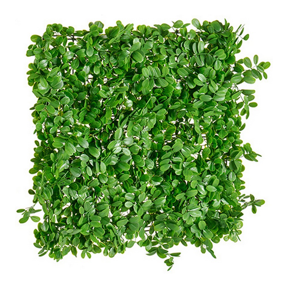 Decorative Plant Plastic Green (50 x 5 x 50 cm)